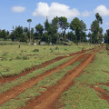 kenia-nyahururu-forest-www_01
