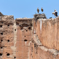 2012-Marokko-Marrakesch-El-Badi-Palast-WWW_02