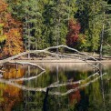 Hessen-Wiesen-Wiesbuettmoor-WWW_03