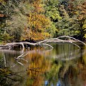 Wiesen-Wiesbuettmoor-WWW_01