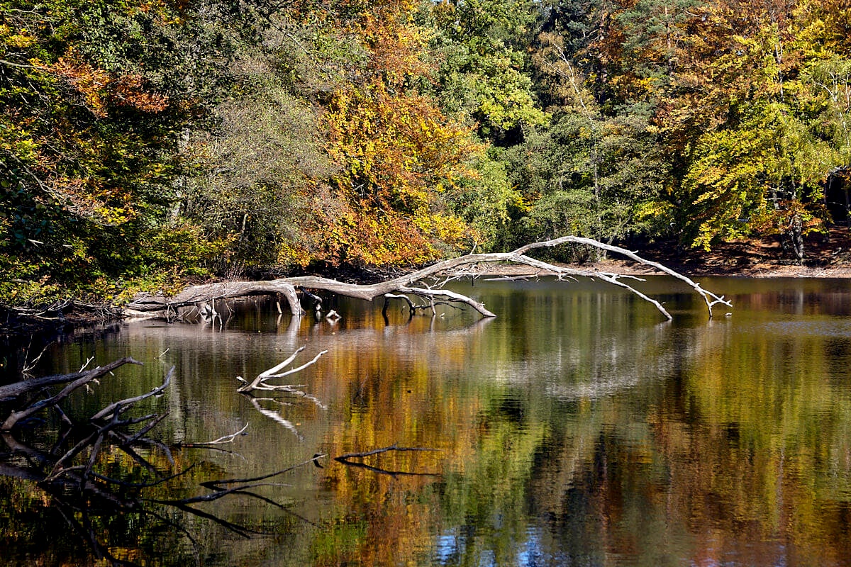 Natur erleben – im Wald und am Wasser